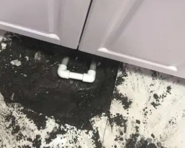 景德镇市查漏水哪家好